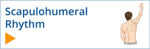 Scapulohumeral Rhythm