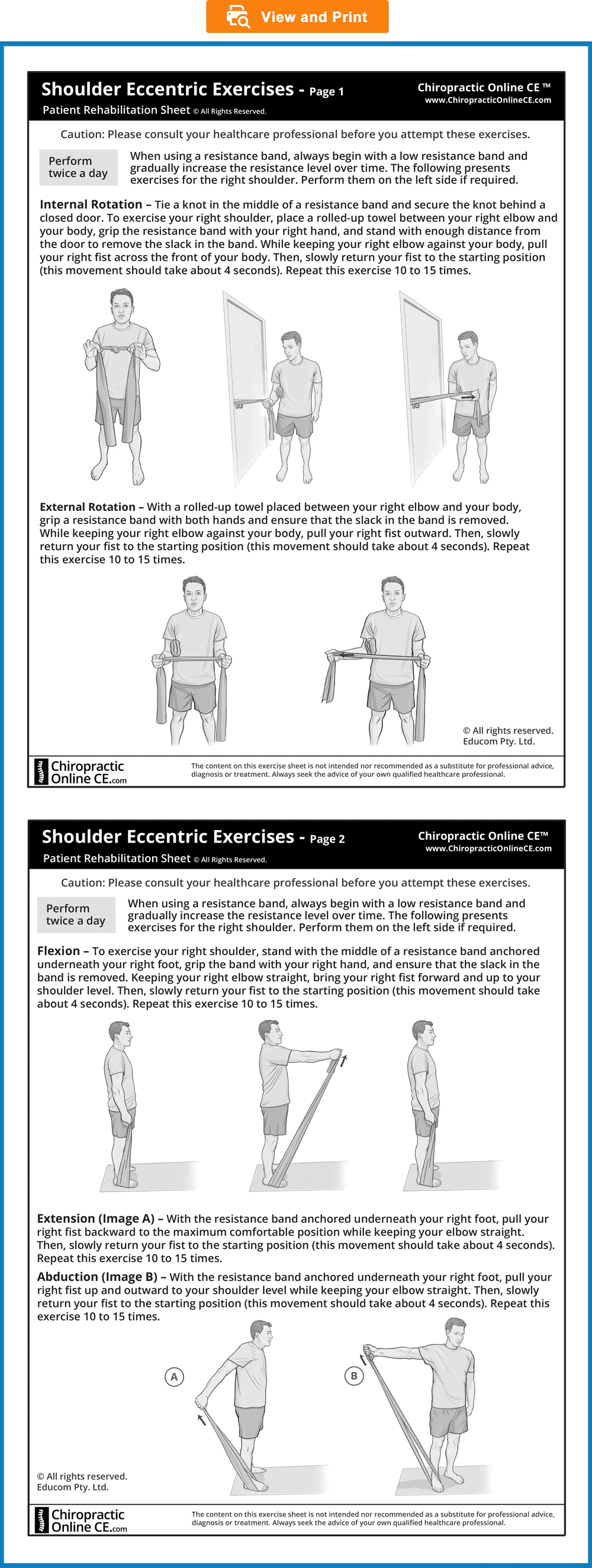 Shoulder-Eccentric-Exercises